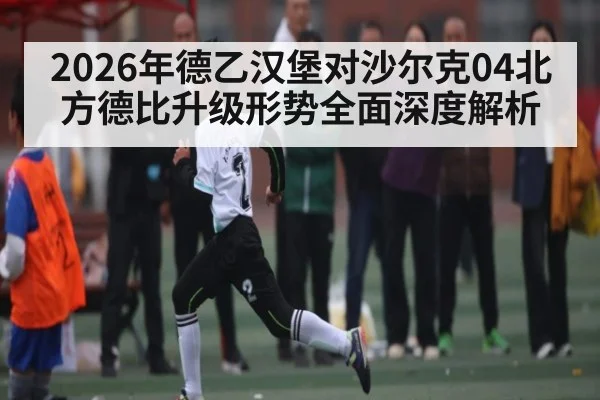 2026年德乙汉堡对沙尔克04北方德比升级形势全面深度解析